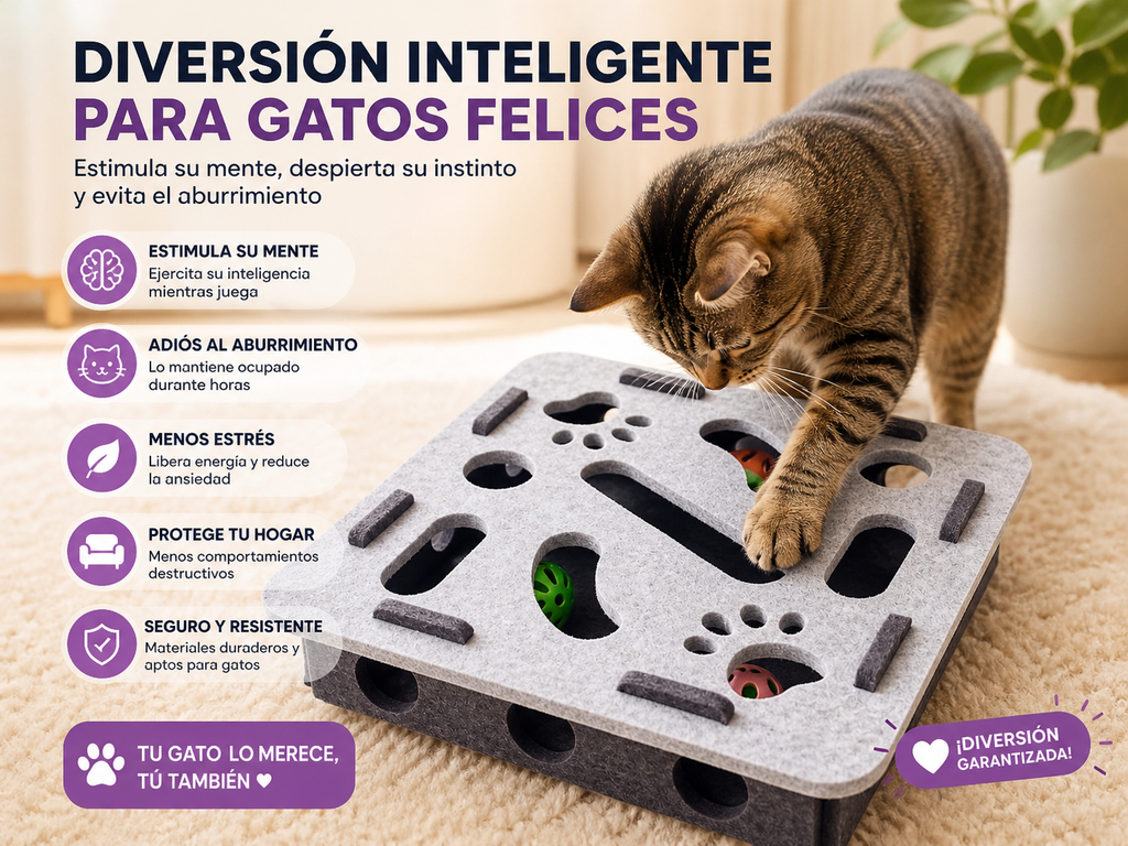 JitoPet™ | SmartPaws